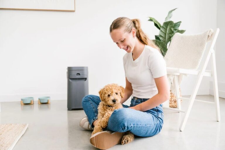Pet Genie product photography
