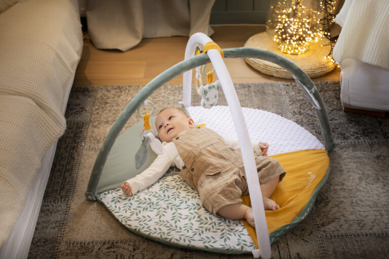 Sophie la Girafe product photography