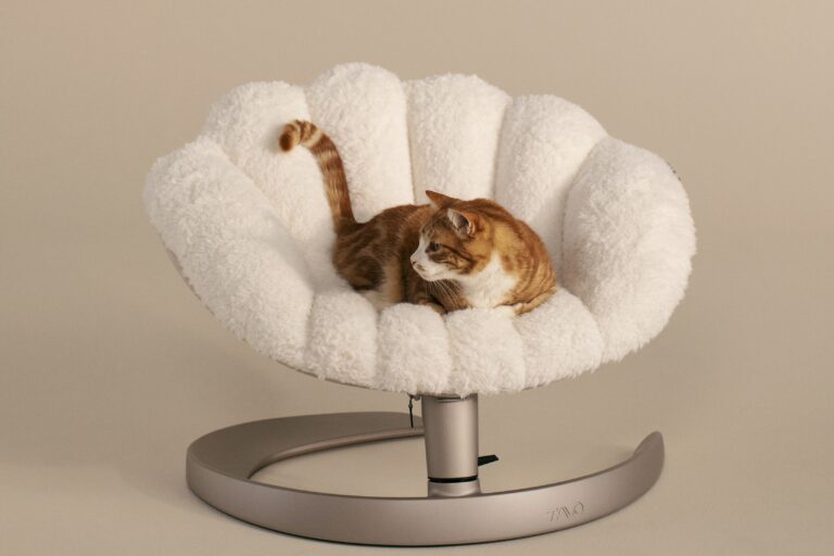 TAVO Pets product photography
