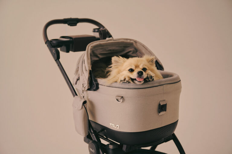 TAVO Pets product photography