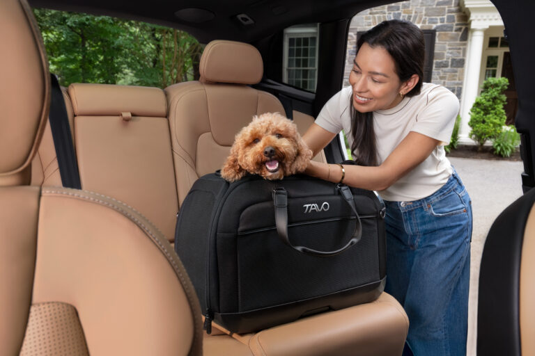 TAVO Pets product photography