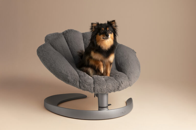 TAVO Pets product photography